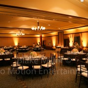 event uplighting