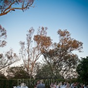 110702-Hofstra-Wedding-4077_LR1000 110702-Hofstra-Wedding-4077_LR1000