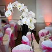 110730-Ruff-Wedding-4739_LR1000