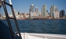 Jeff & Jennifer’s Newport Hornblower Wedding