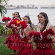 Bali Hai Wedding Pictures (5)