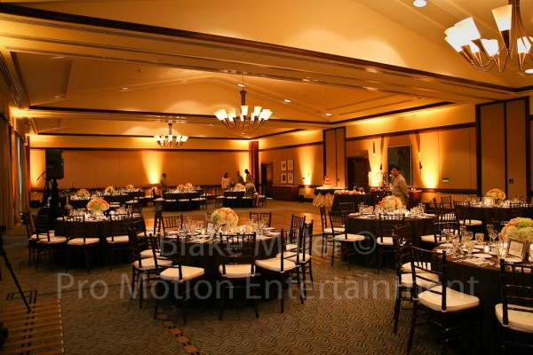 San Diego Wedding Uplighting Image (19)