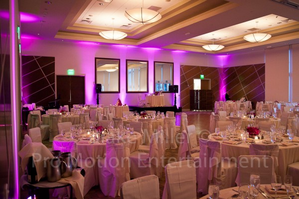 San Diego Wedding Uplighting Image (17)