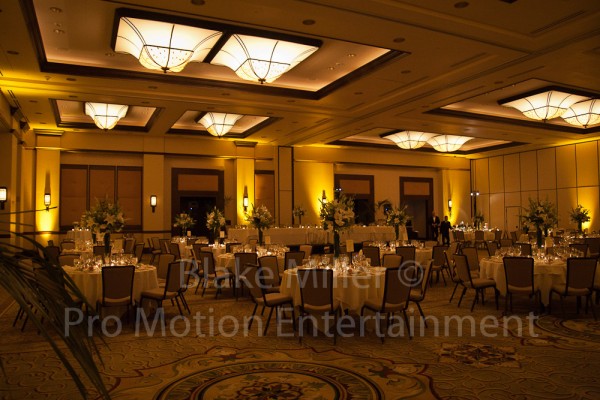 San Diego Wedding Uplighting Image (12)