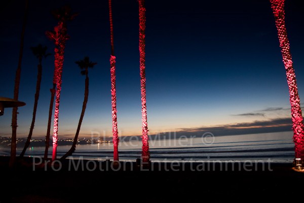 San Diego Wedding Uplighting Image (2)