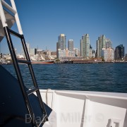 San Diego Hornblower Wedding Picture (5)