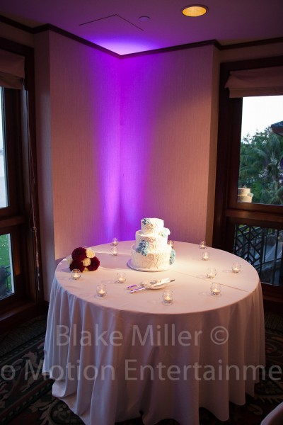 Catamaran Wedding Pictures (5)