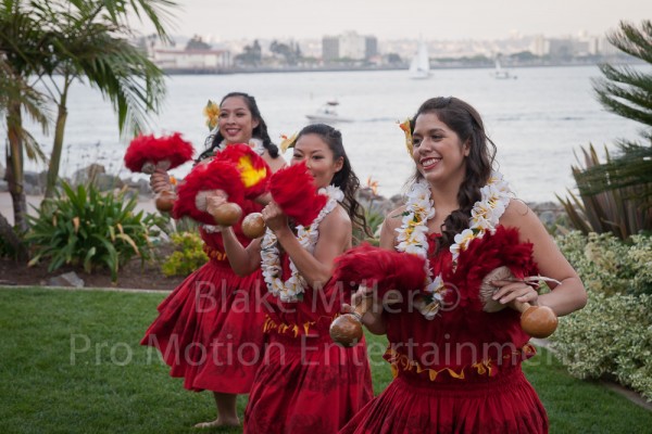 Bali Hai Wedding Pictures (5)