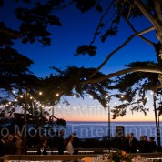 Brian & Patti’s Intimate Martin Johnson House, La Jolla Wedding