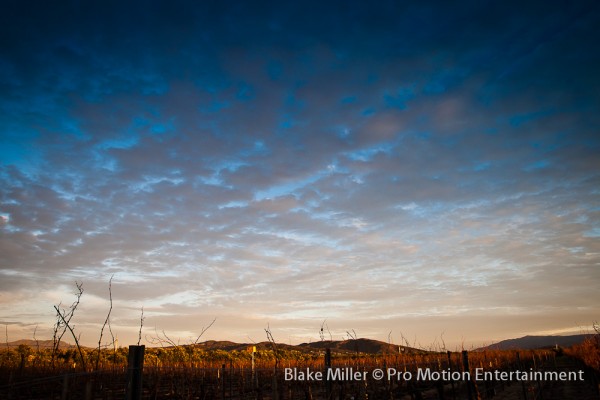 Wiens Family Cellars Temecula Wedding (3)