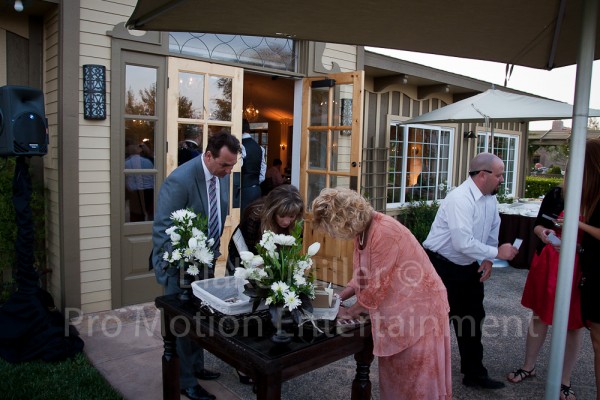 Ponte Family Winery Wedding Image (2)