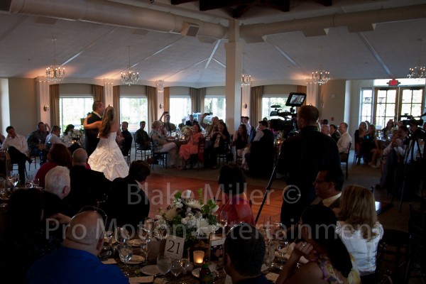 Ponte Family Winery Wedding Image (3)