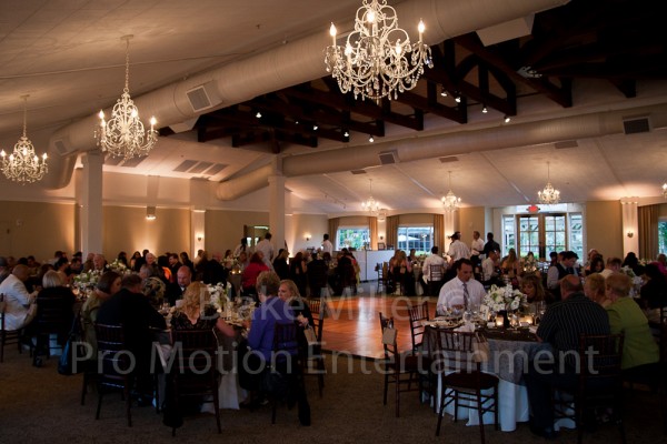 Ponte Family Winery Wedding Image (4)