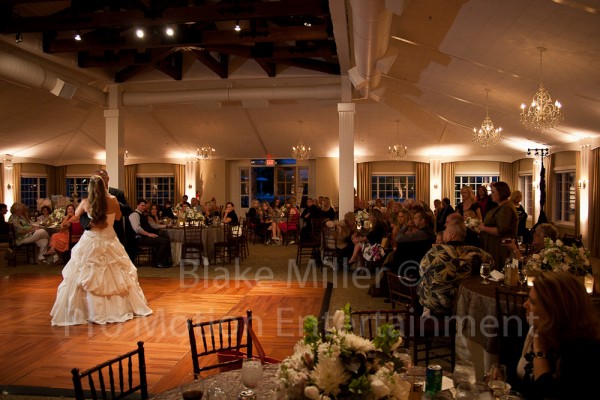 Ponte Family Winery Wedding Image (9)