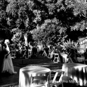 San Diego Botanic Garden Wedding (7)