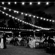 Brenda & James first dance under the stars and market lights at the Japanese Friendship Garden