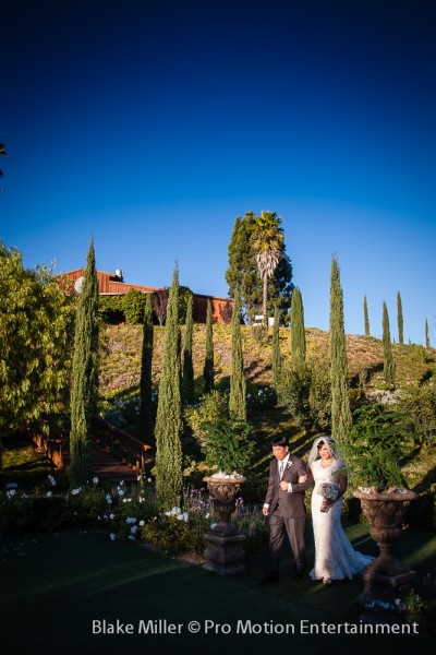 Falkner Winery Wedding Images (3)