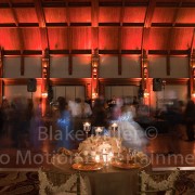 San Diego Wedding Lighting Images (11)