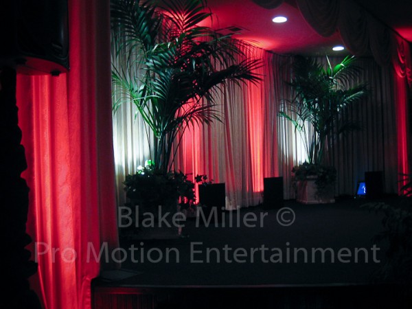 San Diego Wedding Lighting Images (3)