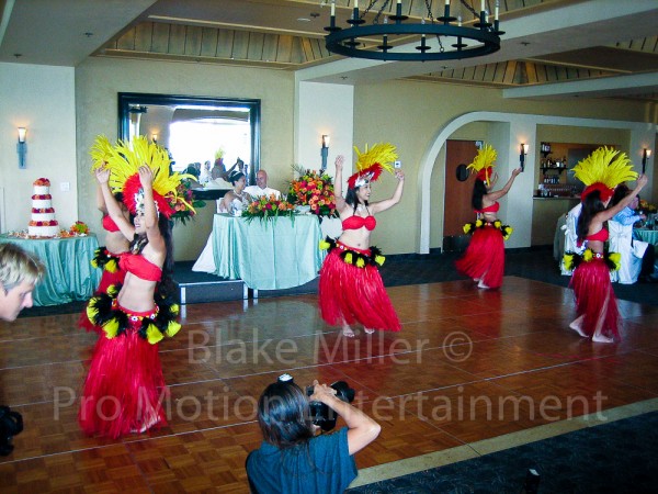 Tom Ham's Lighthouse Wedding Image (1)