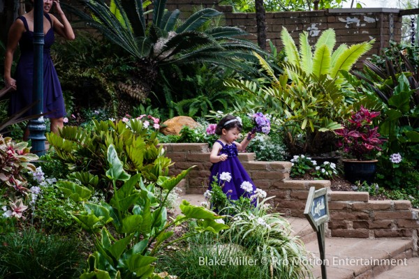 San Diego Botanic Garden Wedding (1)