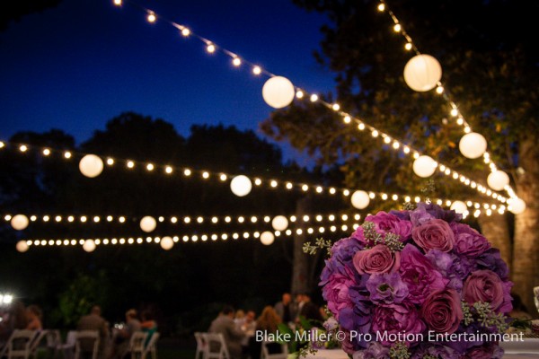 San Diego Botanic Garden Wedding (17)